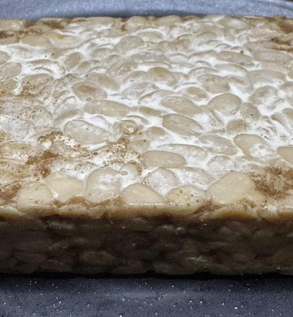 Roher Tempehblock aus fermentierten Sojabohnen, rechteckig und hellbeige, mit sichtbaren ganzen Bohnen.